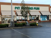 Pet Supplies Plus Glenville - Photo 2 - Car repair in Glenville, NY, Albany