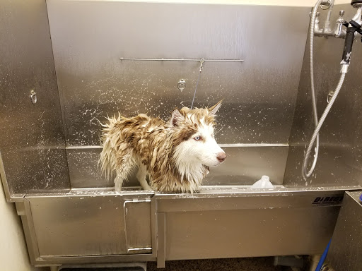 Pet Supply Store «The Farm Store», reviews and photos, 3956 Jacobs Ave, Eureka, CA 95501, USA