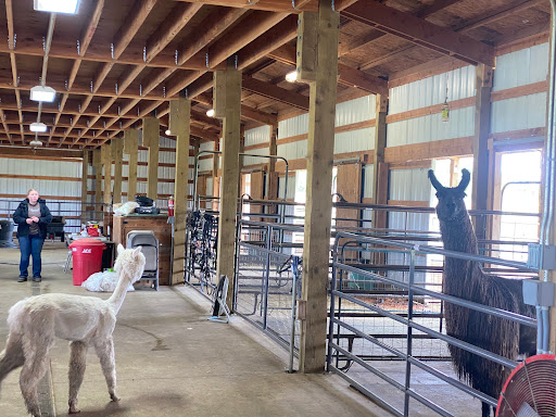 Livestock Breeder «Alpacas at Marquam Hill Ranch», reviews and photos, 35835 OR-213, Molalla, OR 97038, USA