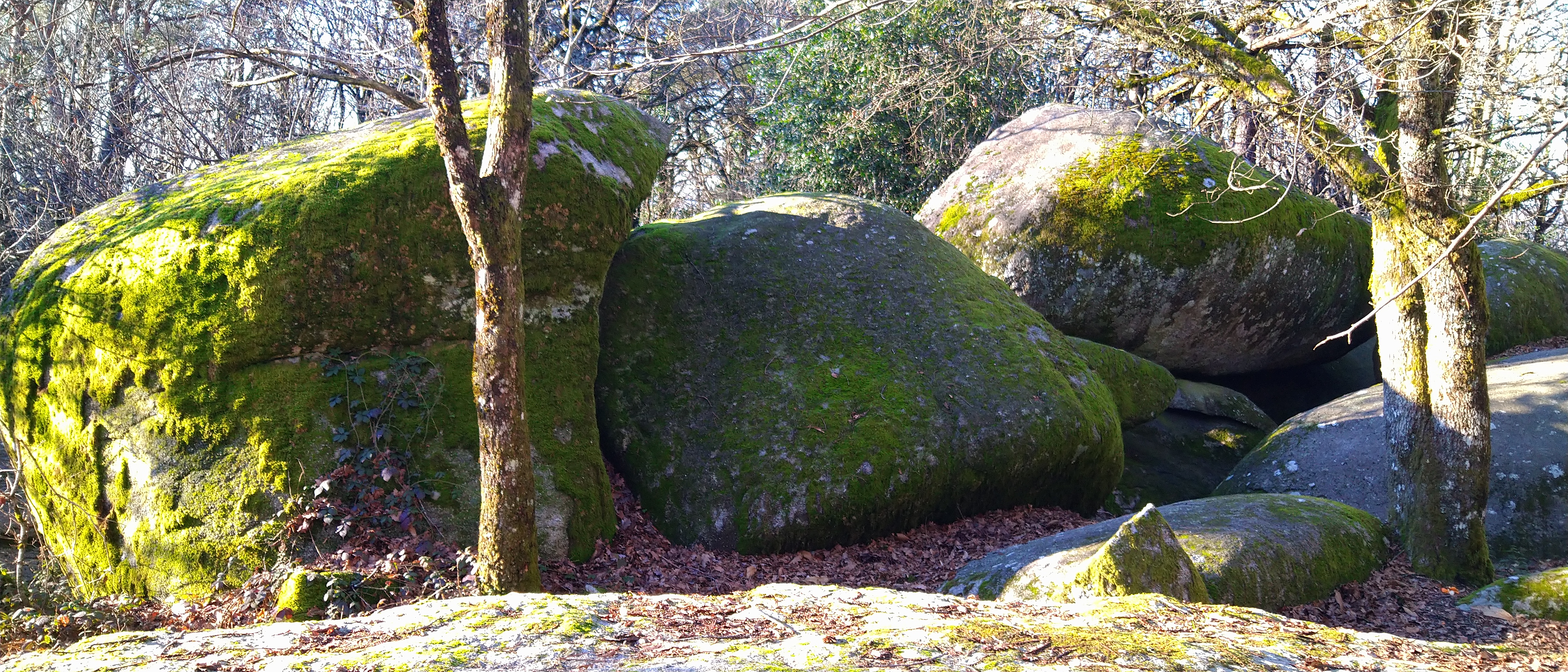 Photo n° 1 de l'avis de rylosce.h fait le 05/01/2020 à 14:23