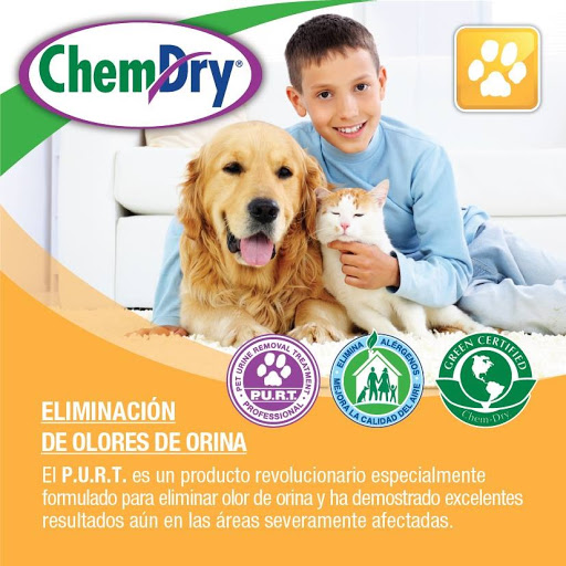 Chem Dry Platino