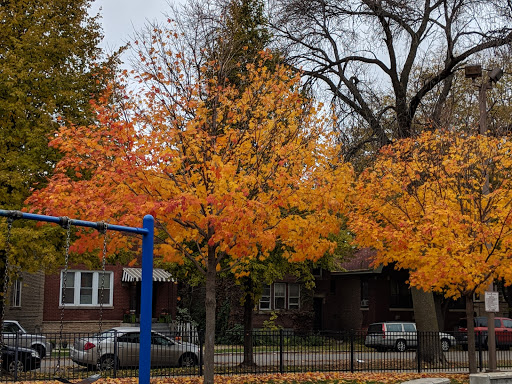 Park «Winnemac Park», reviews and photos, 5100 N Leavitt St, Chicago, IL 60625, USA