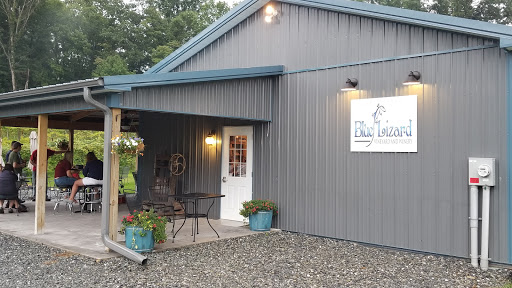 Winery «Blue Lizard Vineyard and Winery», reviews and photos, 139 Ash Cir, Andreas, PA 18211, USA