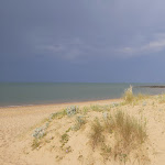 Photo n° 3 de l'avis de Valerie.e fait le 21/06/2021 à 20:16 pour Pointe de l'Aiguillon à L'Aiguillon-la-Presqu'île
