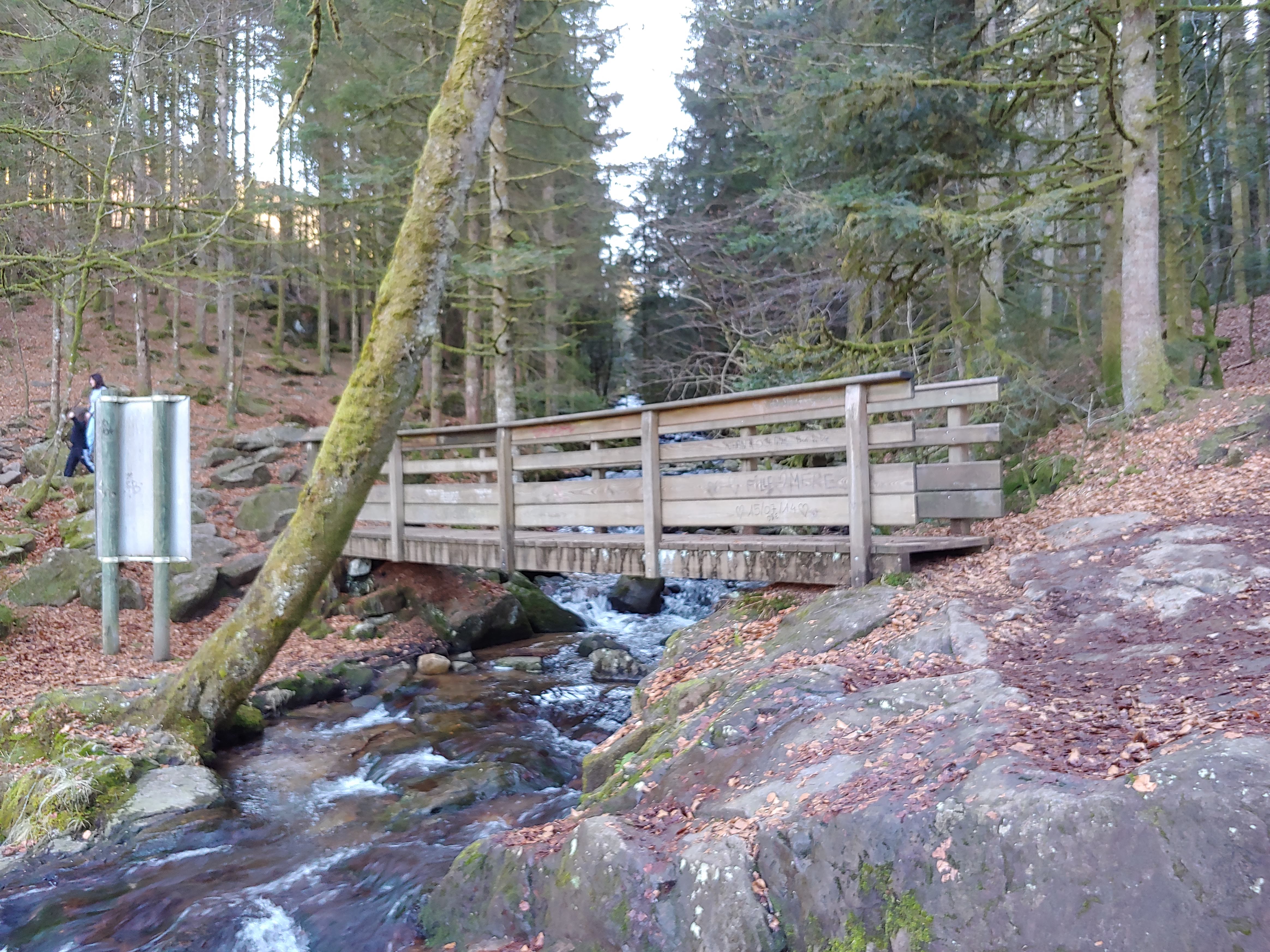 Photo n° 2 de l'avis de Dominique.o fait le 17/02/2019 à 15:54