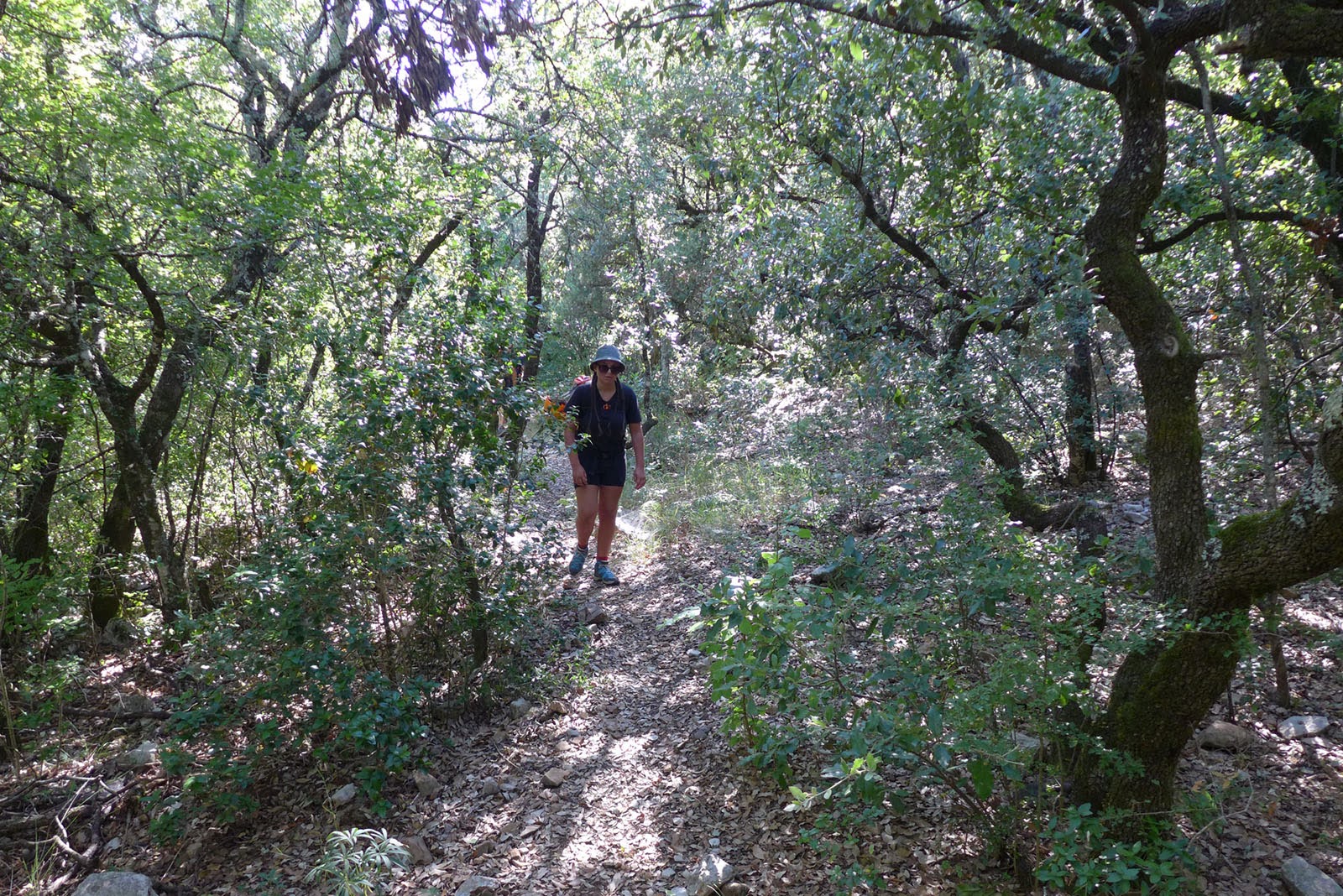 Photo n° 1 de l'avis de David.a fait le 21/07/2020 à 14:59