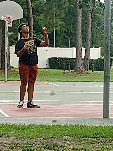 Park «Woodgate Park», reviews and photos, 2495 Countryside Blvd, Clearwater, FL 33763, USA