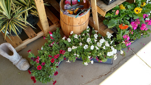 Home Improvement Store «Dickey Bub Farm & Home - Eureka», reviews and photos, 100 Hilltop Village Center Dr, Eureka, MO 63025, USA