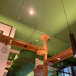 Photo n°5 de l'avis de Schach. fait le 06/10/2023 à 08:47 sur le  Katzentempel Leipzig Mitte à Leipzig