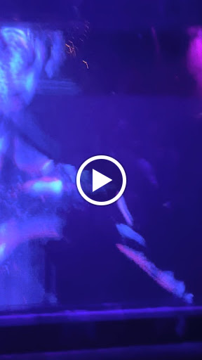 Night Club «Marquee New York», reviews and photos, 289 10th Avenue, New York, NY 10001, USA