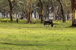 Sanctuary Farm image