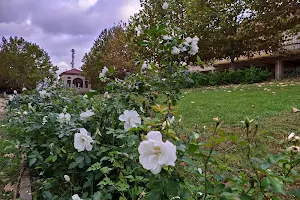 Lalla Amina Garden image