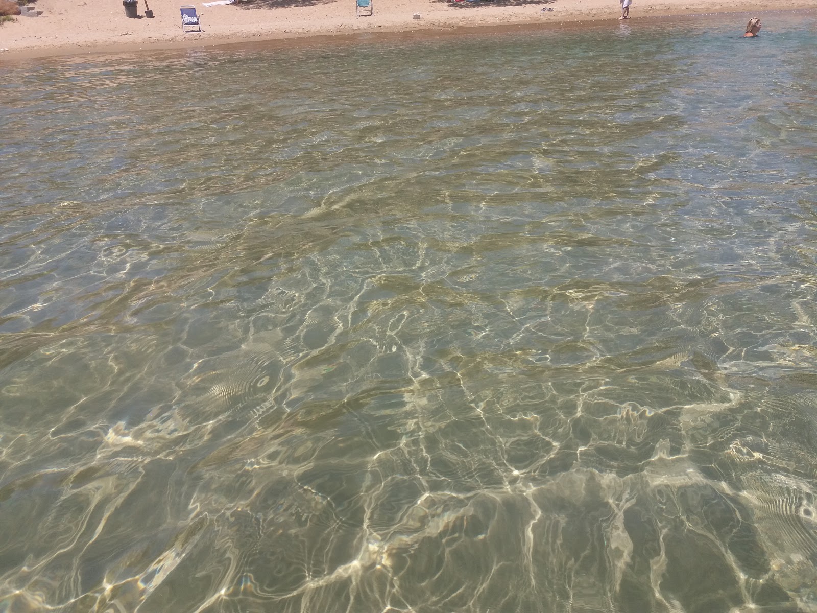 Batsi Plajı'in fotoğrafı - rahatlamayı sevenler arasında popüler bir yer
