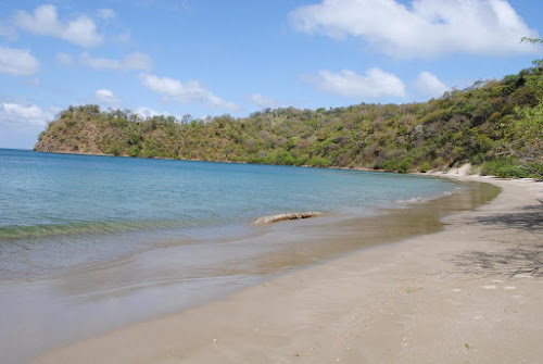 Jobo beach photo #2