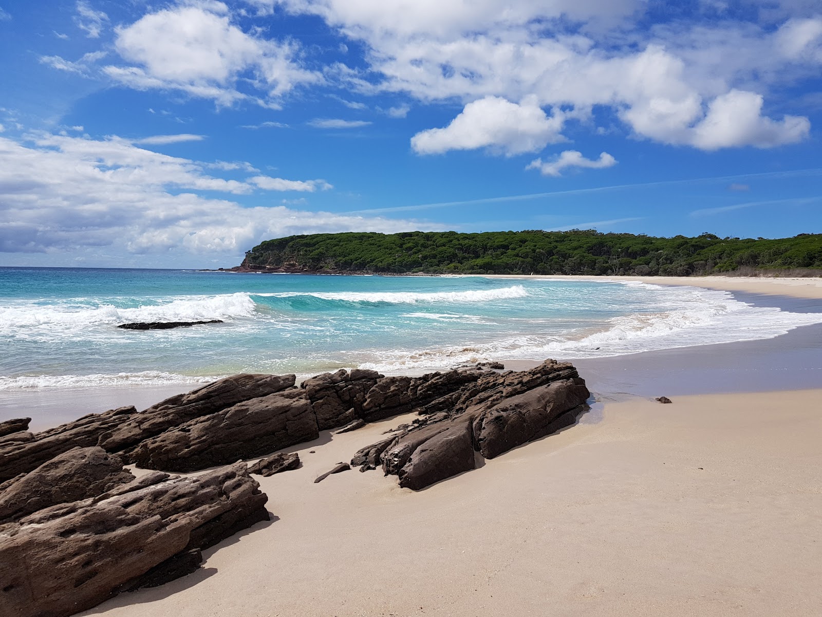 Saltwater Creek Beach'in fotoğrafı çok temiz temizlik seviyesi ile