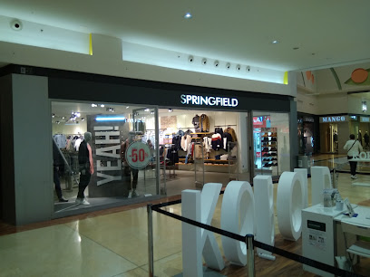Springfield Man