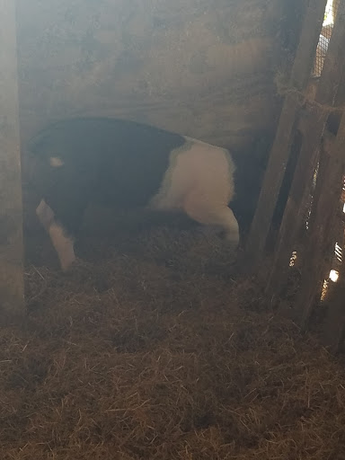 Tourist Attraction «Middleton Farm», reviews and photos, 13250 Cedar Hill Pl, Waldorf, MD 20601, USA