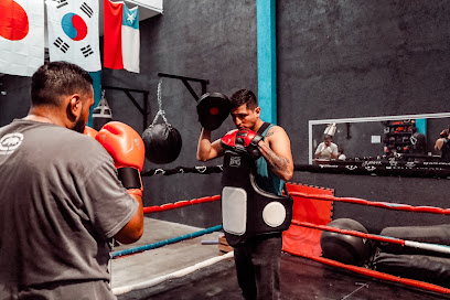 Estrada Boxing Club - Músicos de Tirindaro #485, Vasco de Quiroga, 58230 Morelia, Mich., Mexico