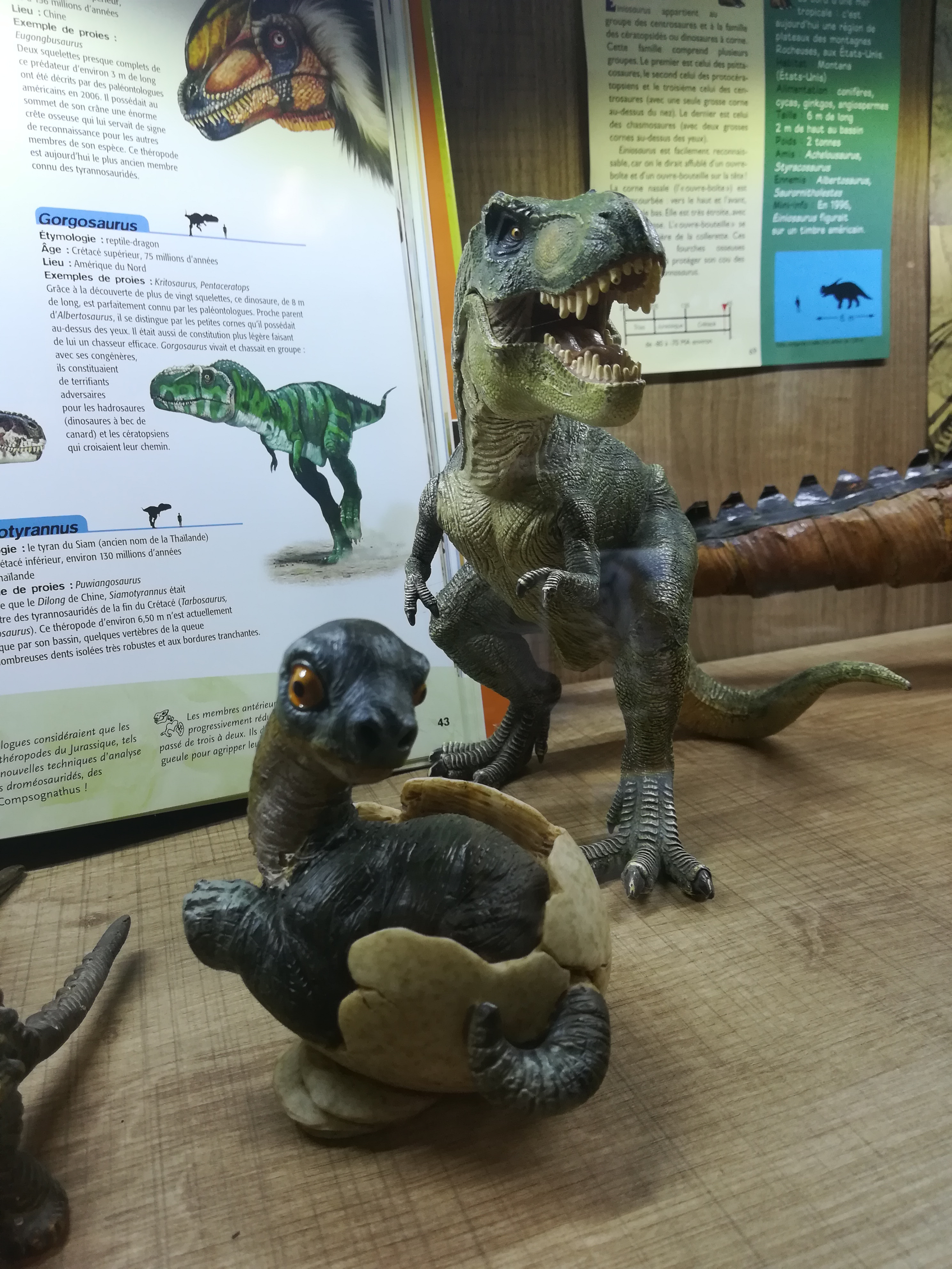 Photo n° 2 de l'avis de Christine.. fait le 01/08/2019 à 06:18