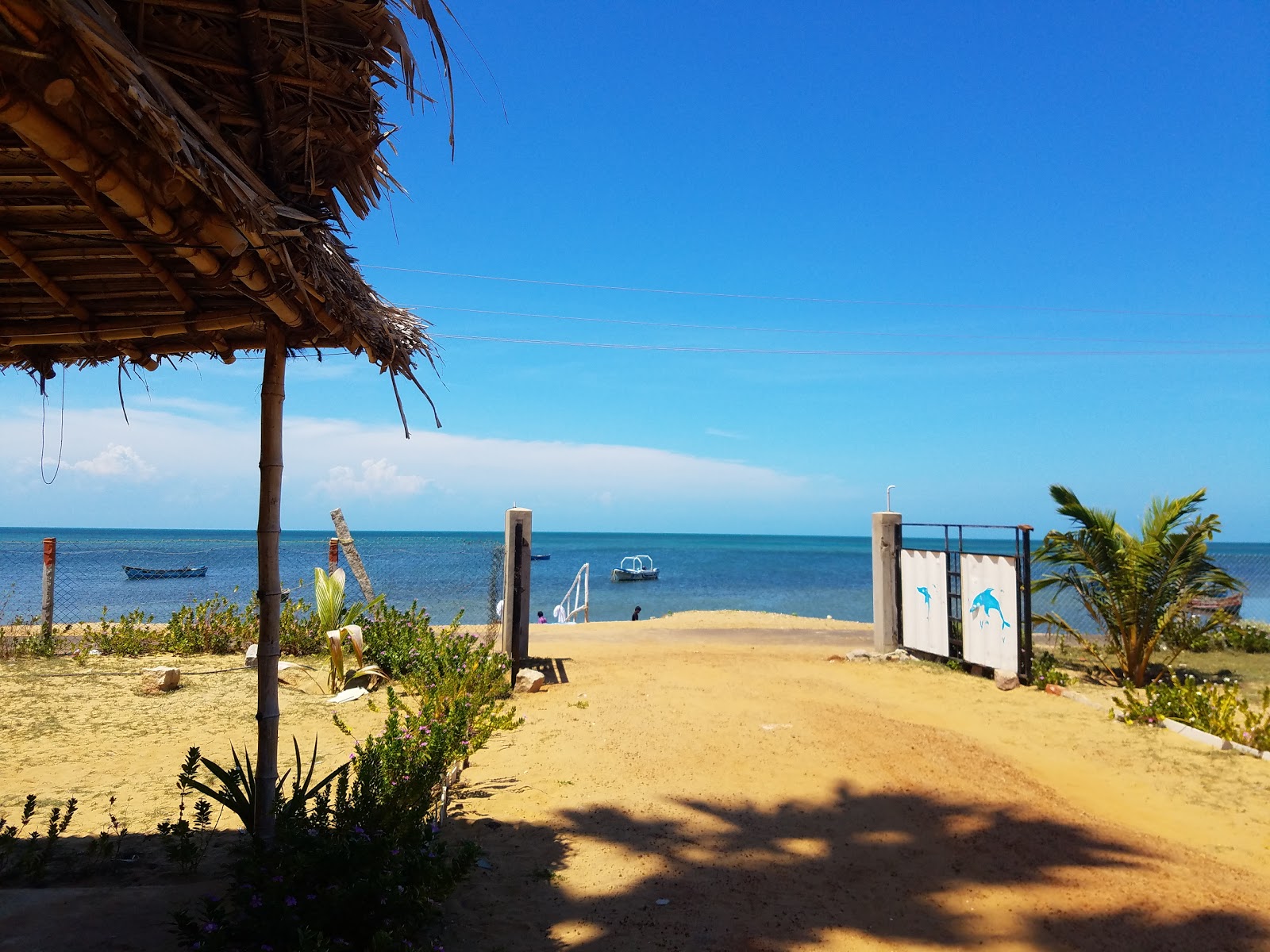 Cabana Coral Reef Beach photo #7
