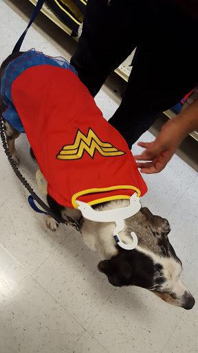 Pet Supply Store «PetSmart», reviews and photos, 5401 N Garland Ave, Garland, TX 75040, USA