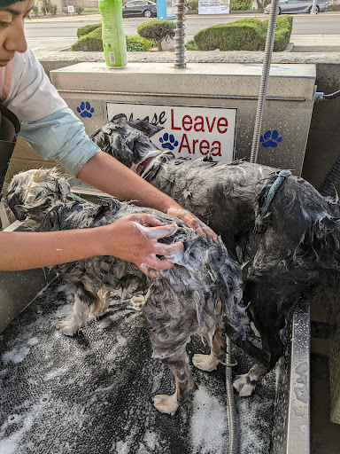 Car Wash «E-Z Clean Car & Dog Wash», reviews and photos, 7940 Monterey Rd, Gilroy, CA 95020, USA