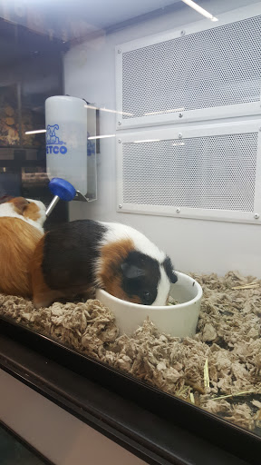 Pet Supply Store «Petco Animal Supplies», reviews and photos, 1111 US-46, Parsippany, NJ 07054, USA