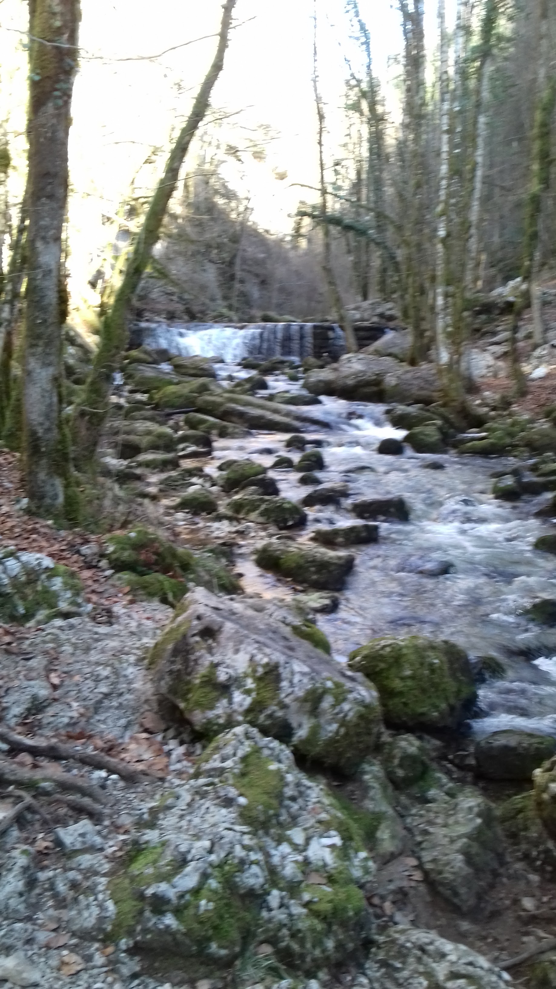 Photo n° 1 de l'avis de Jean.e fait le 27/02/2019 à 15:59