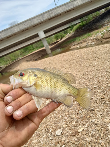 Hardware Store «Humphreys Farmers Co-Op», reviews and photos, 2173 TN-13, Waverly, TN 37185, USA