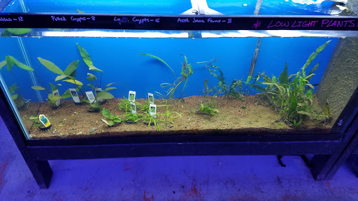 Tropical Fish Store «The Premium Aquarium», reviews and photos, 1875 25th St SE, Salem, OR 97302, USA