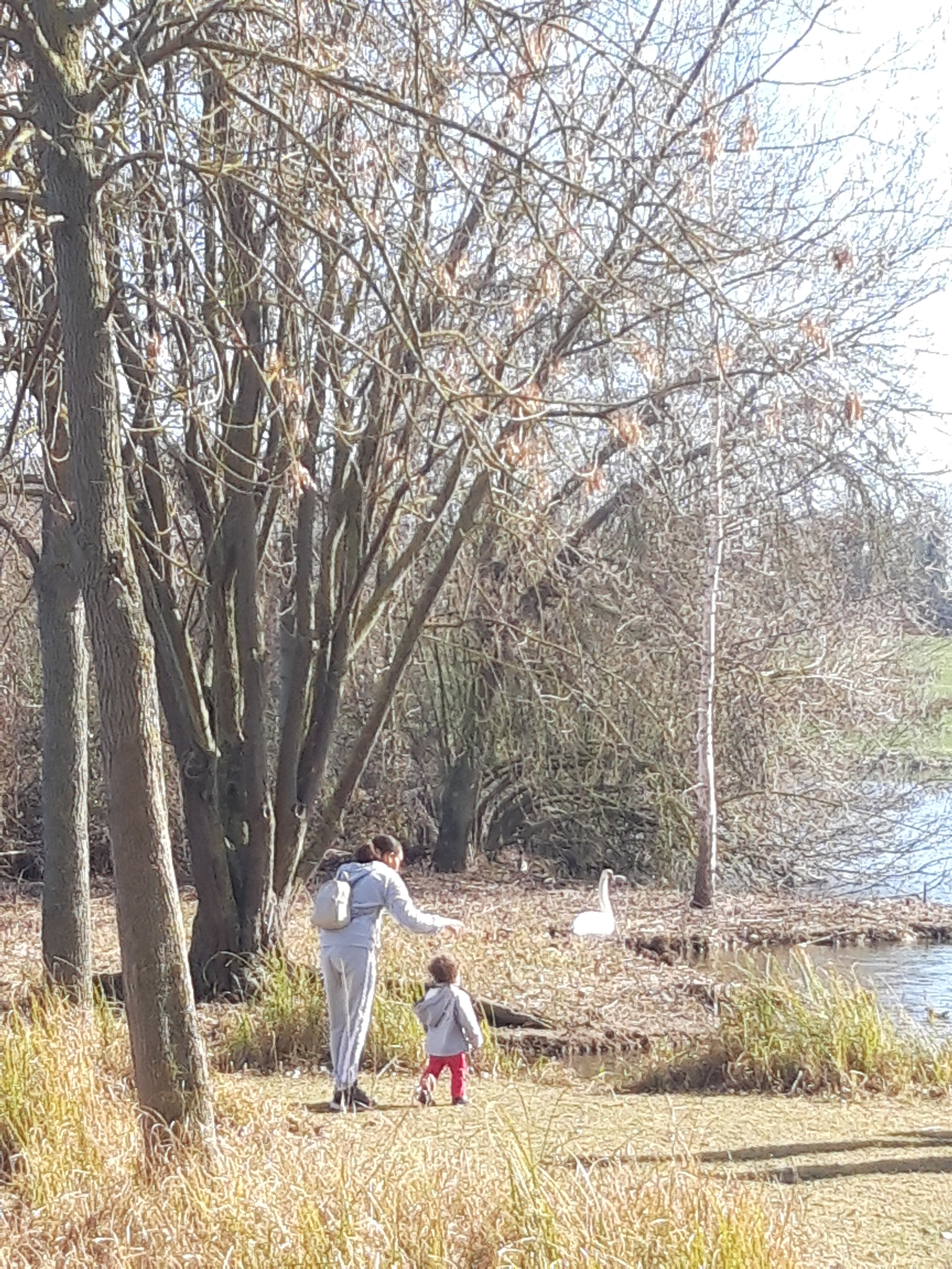Photo n° 18 de l'avis de Pierre.h fait le 05/01/2019 à 15:43