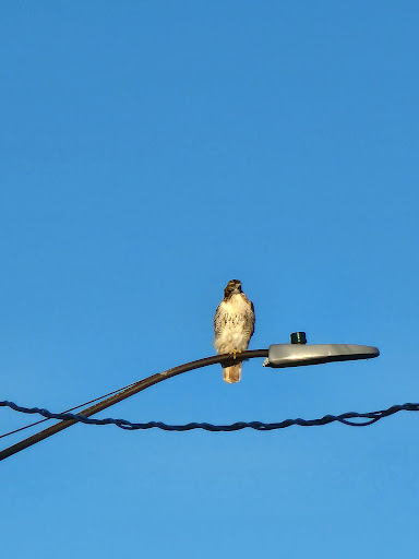 Park «Gratiot Park», reviews and photos, NY-5 & Point Dr W, Dunkirk, NY 14048, USA