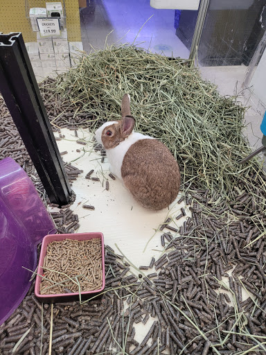 Pet Supply Store «Pet Food Center», reviews and photos, 4036 N First Ave, Evansville, IN 47710, USA