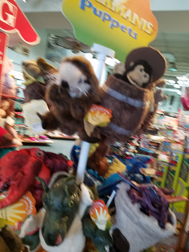 Camping Store «Whole Earth Provision Co.», reviews and photos, 2934 S Shepherd Dr, Houston, TX 77098, USA