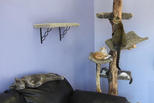 Pet Supply Store «Animal House Pet Supplies», reviews and photos, 733 Phillips Blvd, Sauk City, WI 53583, USA