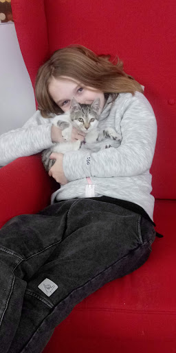 Pet Store «Dog Patch Pet & Feed», reviews and photos, 1108 E Ogden Ave, Naperville, IL 60563, USA