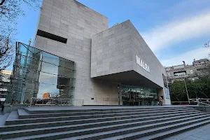 Museo de Arte Latinoamericano de Buenos Aires image
