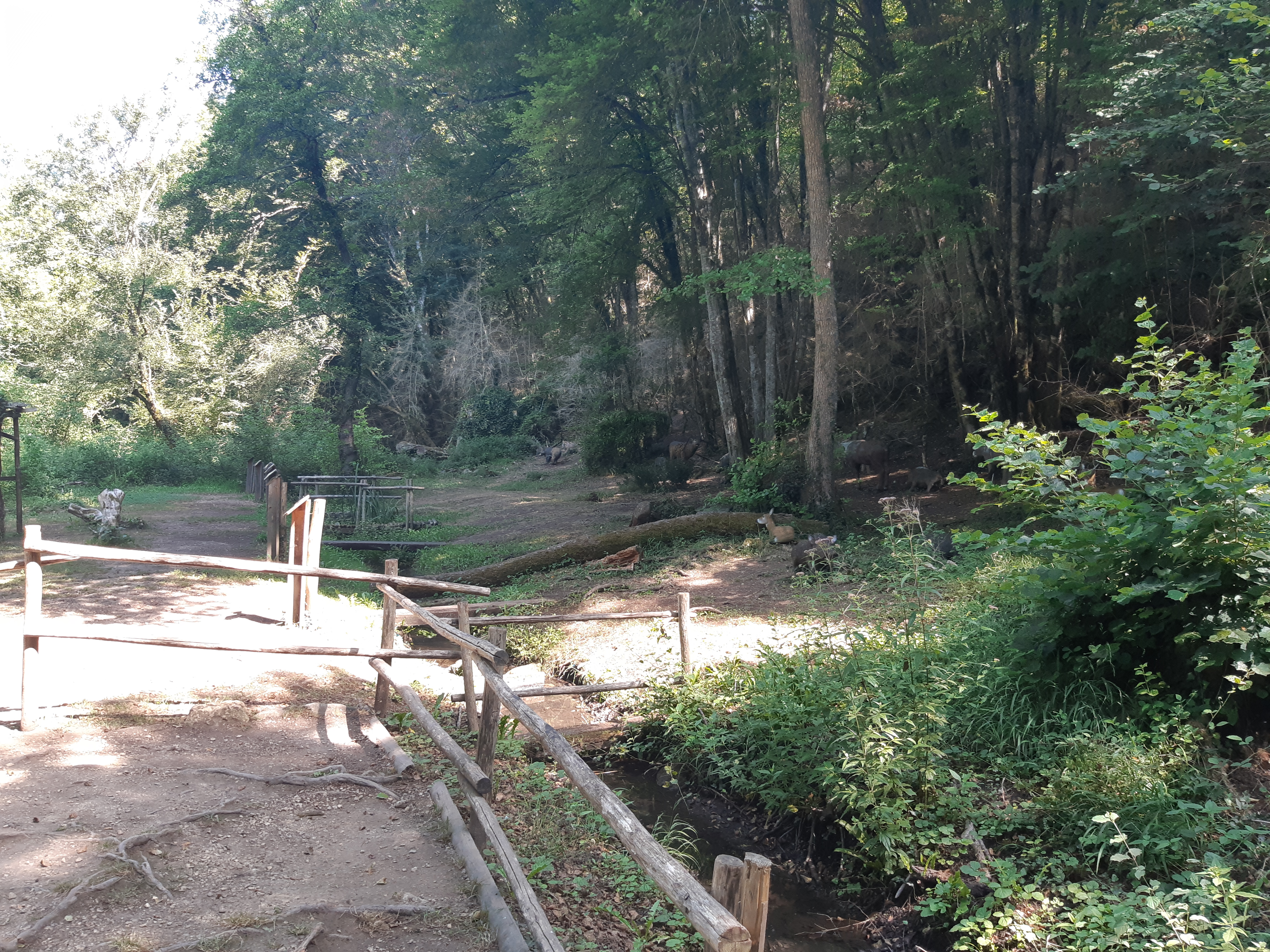 Photo n° 26 de l'avis de Pamela.e fait le 26/07/2018 à 11:23