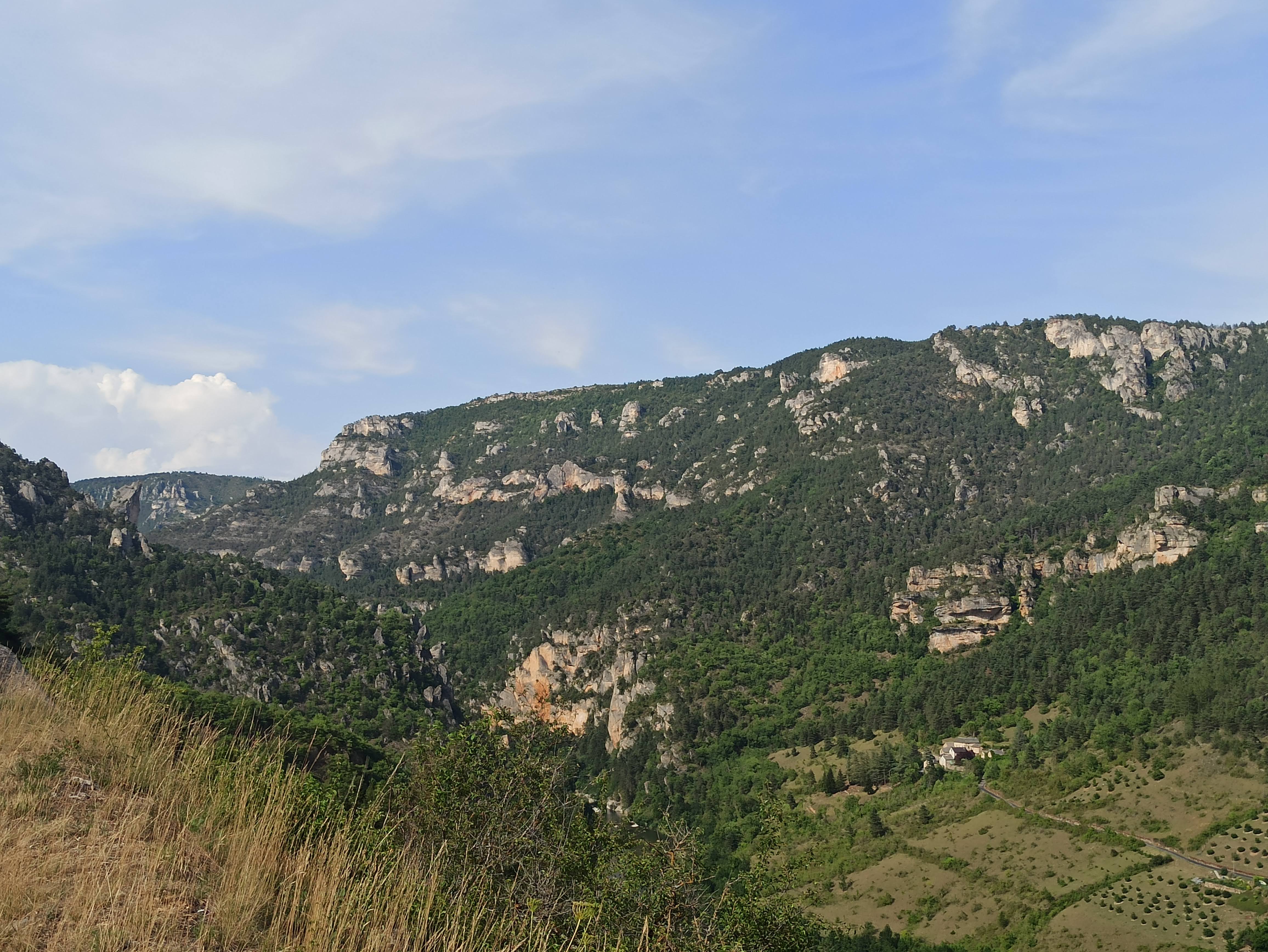 Photo n° 2 de l'avis de Veltas. fait le 03/07/2022 à 17:12