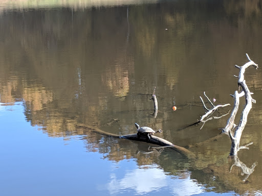 Nature Preserve «Jefferson Memorial Forest», reviews and photos, 11311 Mitchell Hill Rd, Fairdale, KY 40118, USA