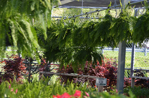 Hardware Store «Sutherlands Lumber #1220», reviews and photos, 6709 Blue Ridge Blvd, Raytown, MO 64133, USA