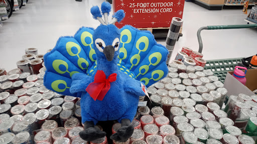 Department Store «Walmart Supercenter», reviews and photos, 320 Mallard Ln, Mason, WV 25260, USA