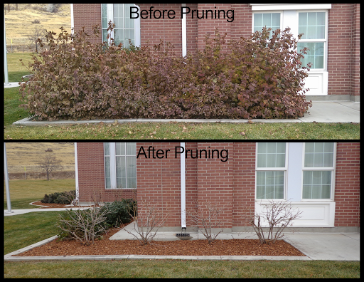 Landscaper «Elite Grounds L.C.», reviews and photos, 800 S Main St, Pleasant Grove, UT 84062, USA