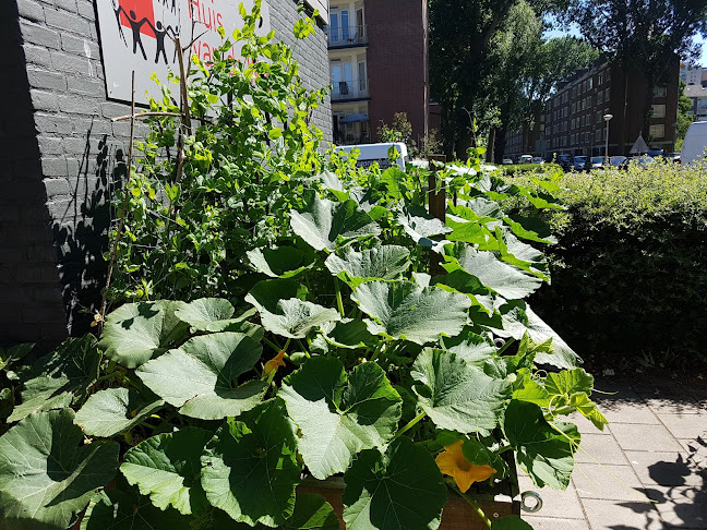 Huis van de Wijk 't Blommetje