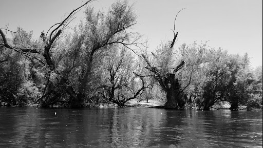 Tourist Attraction «Salt River Tubing», reviews and photos, 9200 N Bush Hwy, Mesa, AZ 85215, USA