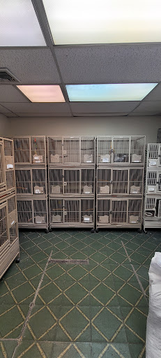 Bird Shop «Paterson Bird Store», reviews and photos, 13 Furler St # 1, Totowa, NJ 07512, USA