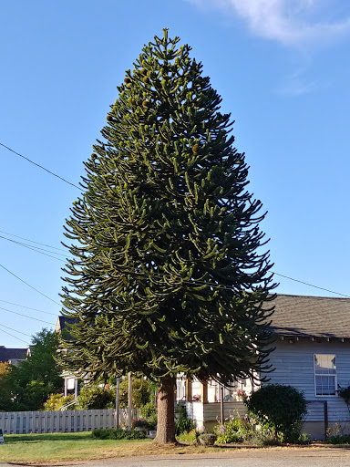 Park «Al Borlin Park», reviews and photos, 615 Simons Rd, Monroe, WA 98272, USA