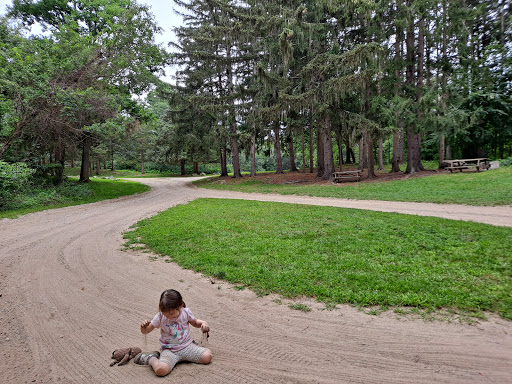 State Park «Lincoln Woods State Park», reviews and photos, 2 Manchester Print Works Rd, Lincoln, RI 02865, USA