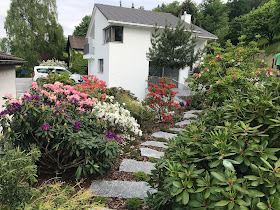 Hofstetter Gartenbau GmbH