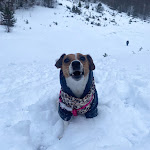 Photo n°1 de l'avis de Dani.i fait le 27/12/2021 à 10:45 sur le  Ristorante Rifugio Campetto degli Alpini à Roccaraso